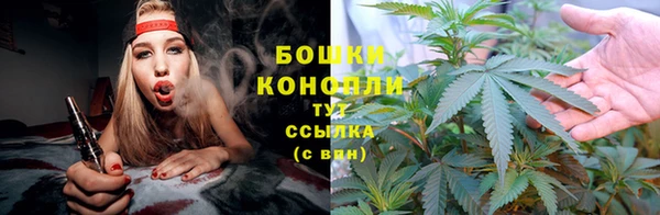 ГАЛЛЮЦИНОГЕННЫЕ ГРИБЫ Армянск
