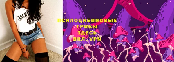 ГАЛЛЮЦИНОГЕННЫЕ ГРИБЫ Армянск