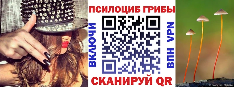 Псилоцибиновые грибы Psilocybe  mega как войти  Спас-Деменск 