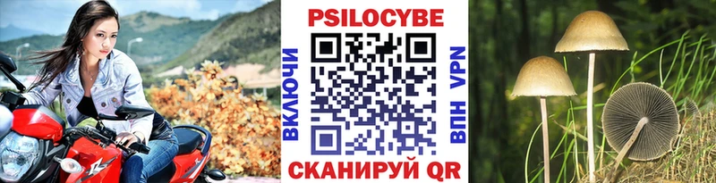 Галлюциногенные грибы Cubensis Спас-Деменск